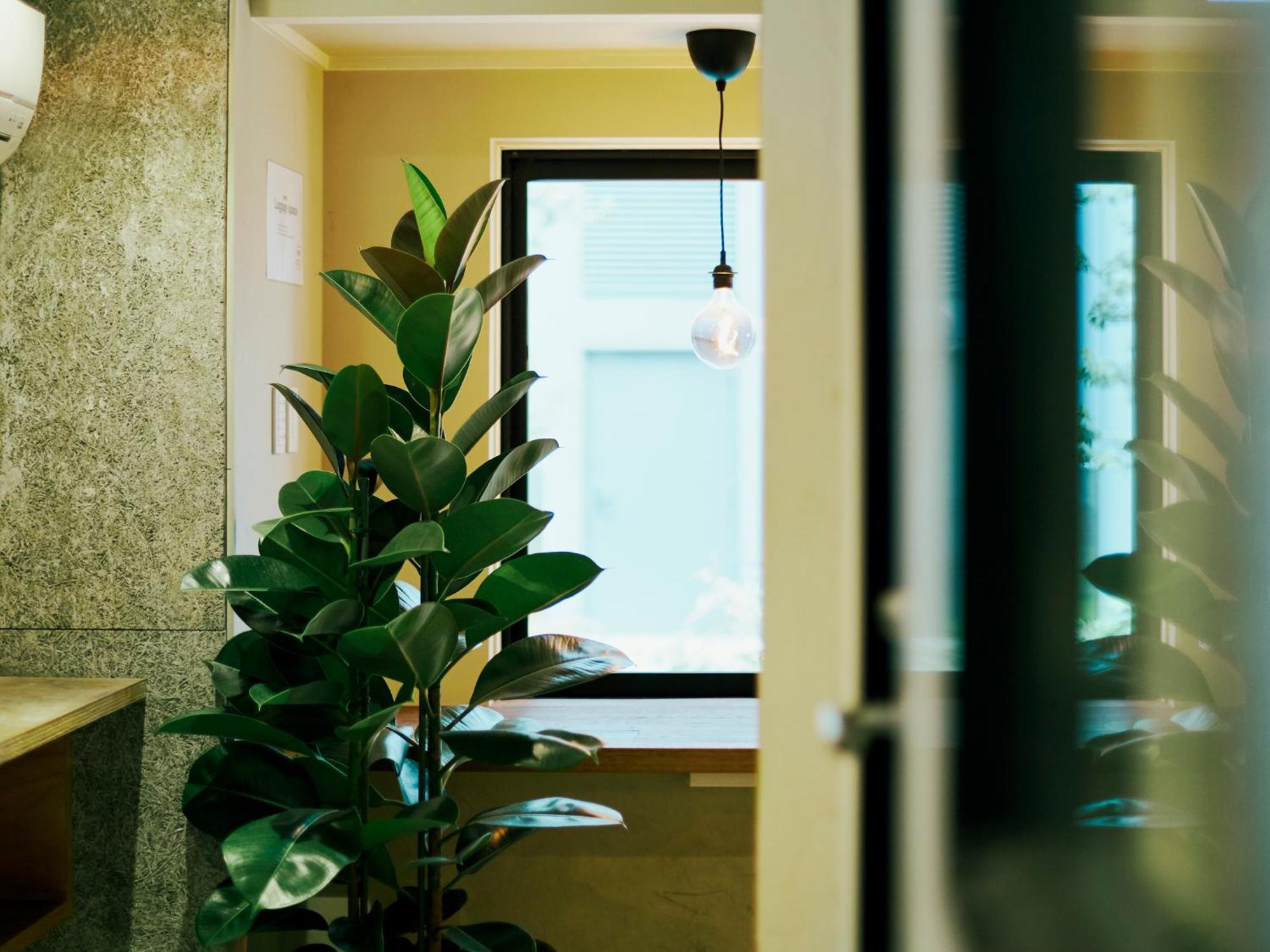 Akasaka Guesthouse Hive Tokió Kültér fotó